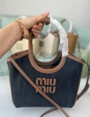 Miu miu bag 21 cm