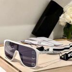Dior Sunglasses (3colors) - 03
